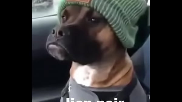 Video de v&eacute_rification