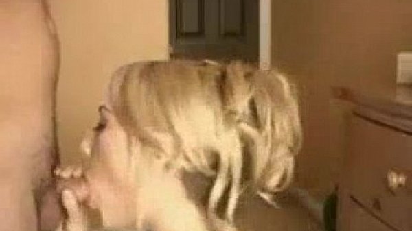 Db262afec8c652a4720574272559bf90 