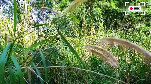 Trabalhadores trepando dentro do mato escondido dos patr&otilde_es. - EXCLUSIVOS NO SHEER.COM