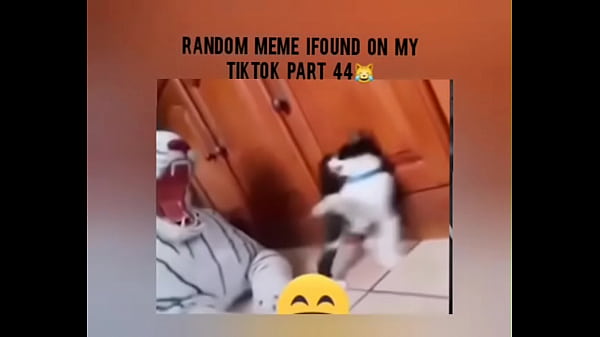 Tiktok cold moment complition part 1