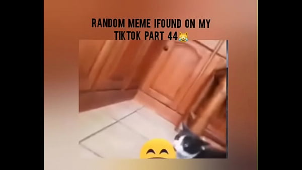 Tiktok cold moment complition part 1 