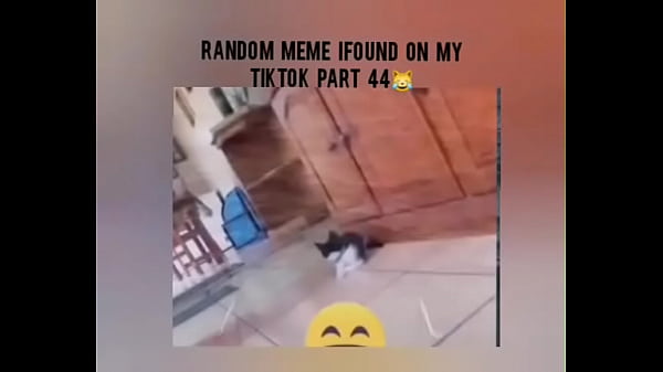 Tiktok cold moment complition part 1