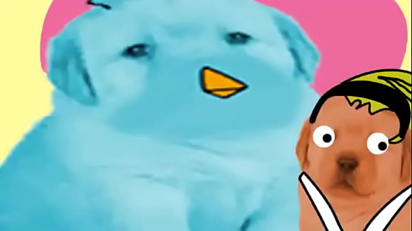 destripando la historia &brvbar; version perritos 