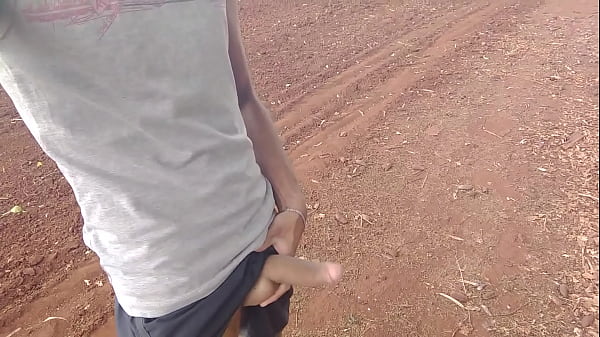 Caminhando com tes&atilde_o