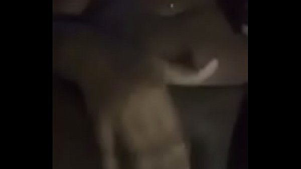 Play MP4 - Project bitch