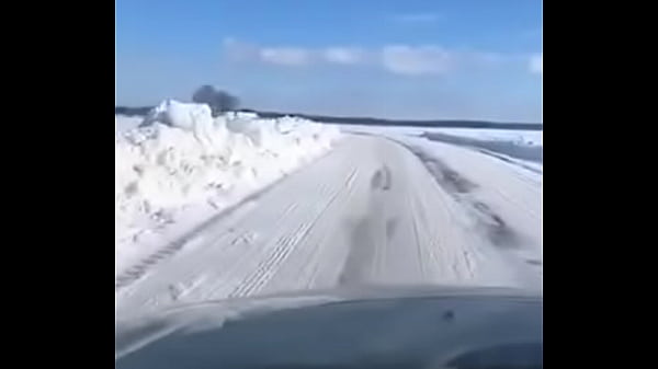 验证视频