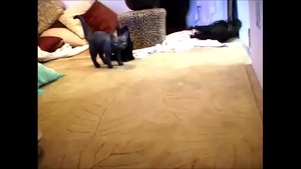 Play MP4 - Porn Star Movies Zoe Halloween Nurse Cam Show Zoe Zane