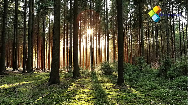 Nonton Free Quickie With Lodged Tourist. Please Subcribe To Red/sheer thumbnail