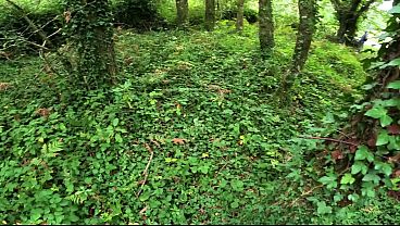 A woman in the woods riding a bike i ask her to watch my bike so it doesn't get stolen when i go to urinate i call her over and she helps me masturbate and gives me a blowjob under the green nature of the public forest 