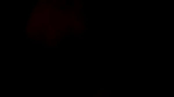 Video b5fa46e9eadf25d09606fa6c99bd7b61 v   SEXBOKEP adalah Website Bokep Indonesia Terbaru dan Terlengkap Gratis dimana Anda dapat menonton streaming video bokep dan download vidio bokep terbaru yang sedang viral dengan aplikasi bokep android, Aplikasi bokep free download simontok app terbaru 2026 for PC Mobile Online dan HP     Contact Us   DMCA   Disclamer   Privacy and Policy   Conditions of Use  &copy; 2026 SEXBOKEP All rights reserved