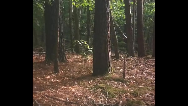 Nonton Qui Veut Essayer De Tirer La Lapine? thumbnail