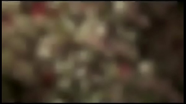 Nonton Naked Arts thumbnail