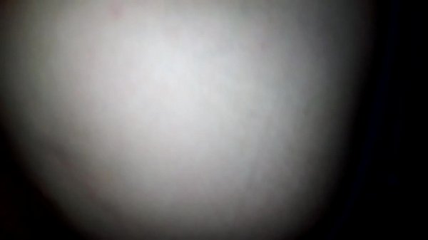 Cojiendo_Ami Esposa De Perrito