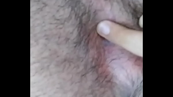 Novinho rabudo brincando com o cuzinho