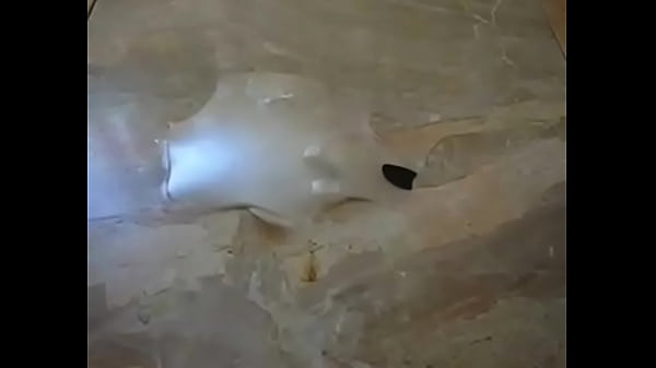 Play MP4 - hot guy using his flashlight&period;