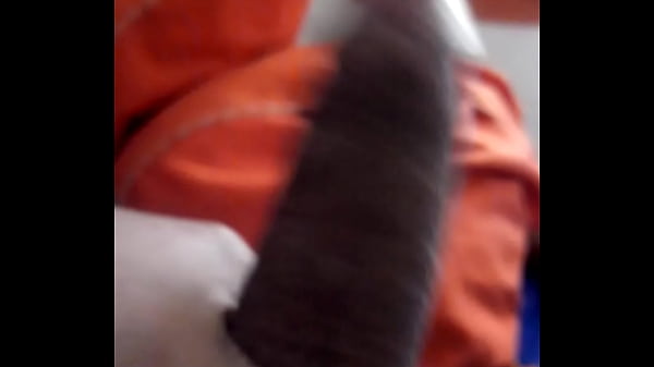 Pica mole, tocando uma 