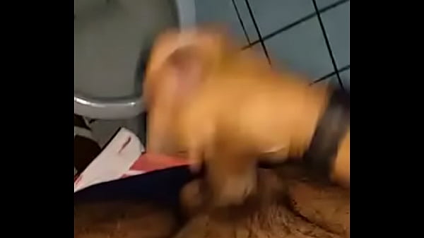 Vid-20180224-wa0032 thumbnail