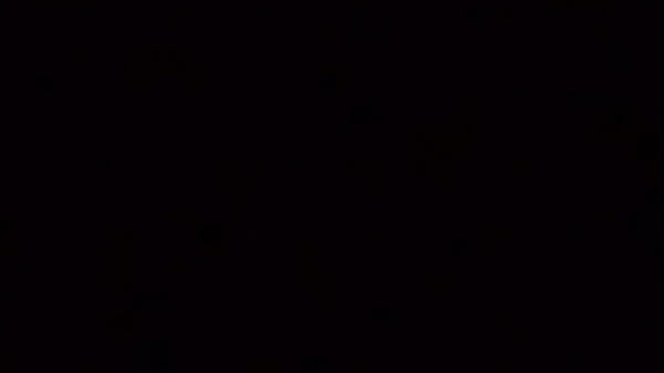 adotei trez_amorzinhuz elas_trabalham bem até 24k