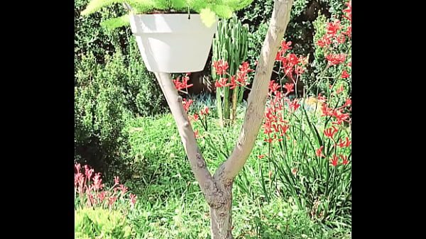 Nonton Caring For My Plants Without My Pants thumbnail