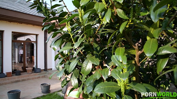 Nonton Blowjob For The Servant thumbnail