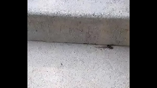 Come party update #37 2024 03 25t21 45 49 000z 