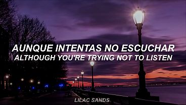 Monos articos cuando el sol se pone 