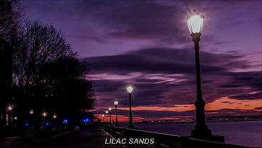 Nonton Monos Articos Cuando El Sol Se Pone thumbnail