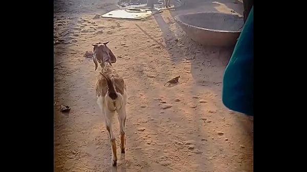 Nonton Xnxx thumbnail