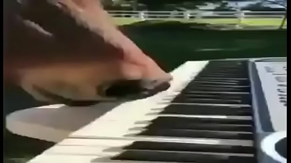 Nonton Cavalo Pianista thumbnail