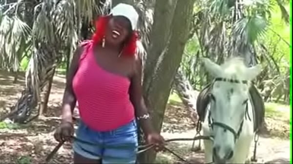 Porn Official song