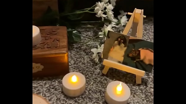 We had a mini funeral for my swiss rat today  123Next SEXBOKEP adalah Website Bokep Indonesia Terbaru dan Terlengkap Gratis dimana Anda dapat menonton streaming video bokep dan download vidio bokep terbaru yang sedang viral dengan aplikasi bokep android, Aplikasi bokep free download simontok app terbaru 2026 for PC Mobile Online dan HP     Contact Us   DMCA   Disclamer   Privacy and Policy   Conditions of Use  &copy; 2026 SEXBOKEP All rights reserved