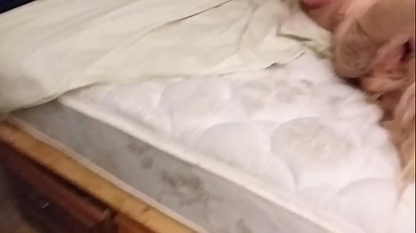 Cock Riding Fein thumbnail