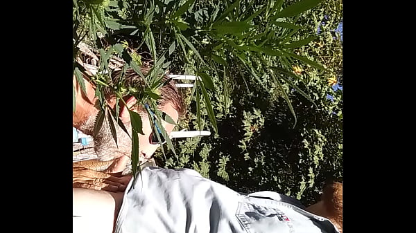 Play MP4 - Hot suck&fuck in 420 patch