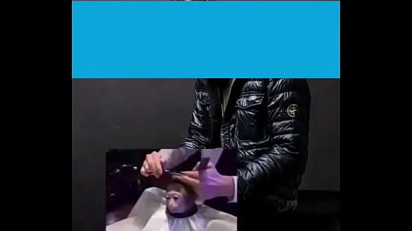 M&uacute_sica linda