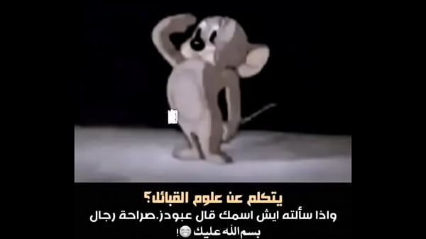 فيديو التحقق