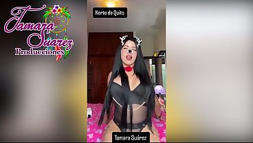 La perrita de Quito