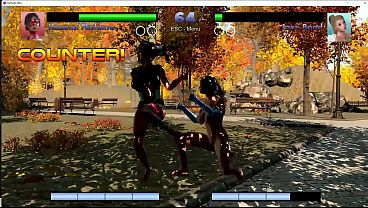 The worst adult fighting game ever 