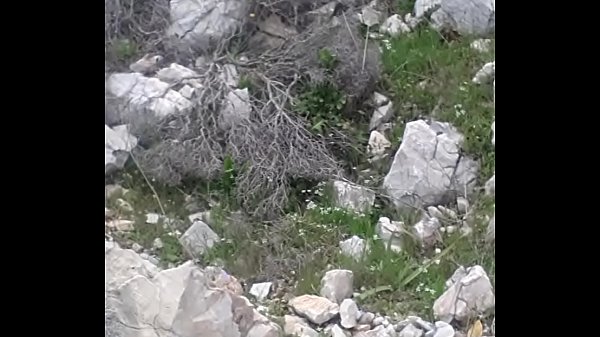 call 6942872233_if in greece