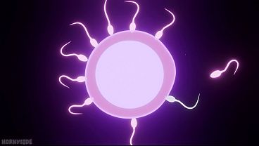 PVZ 2 horas