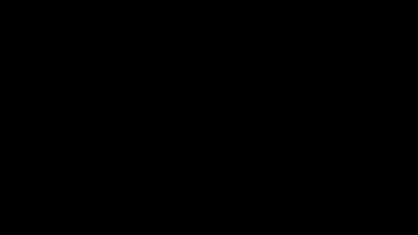 Nonton Extreme Ass And Pussy Lezzy Fingering thumbnail