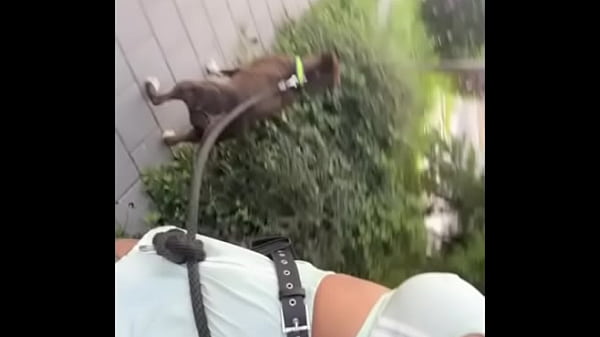 Most popular girl in the neighborhood 