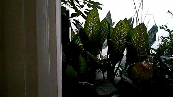 Wp 20130915 001627z thumbnail