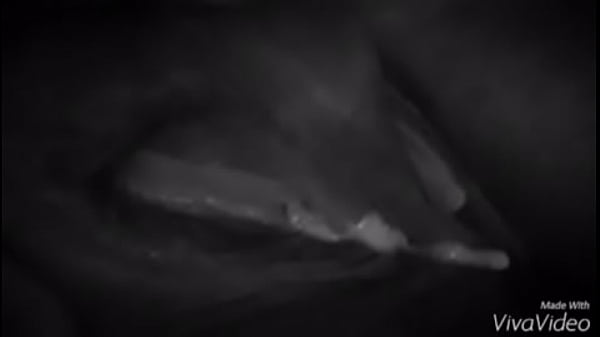 Un lindo detalle para nuestros seguidores  1234567891011121314151617...33Next SEXBOKEP adalah Website Bokep Indonesia Terbaru dan Terlengkap Gratis dimana Anda dapat menonton streaming video bokep dan download vidio bokep terbaru yang sedang viral dengan aplikasi bokep android, Aplikasi bokep free download simontok app terbaru 2026 for PC Mobile Online dan HP     Contact Us   DMCA   Disclamer   Privacy and Policy   Conditions of Use  &copy; 2026 SEXBOKEP All rights reserved