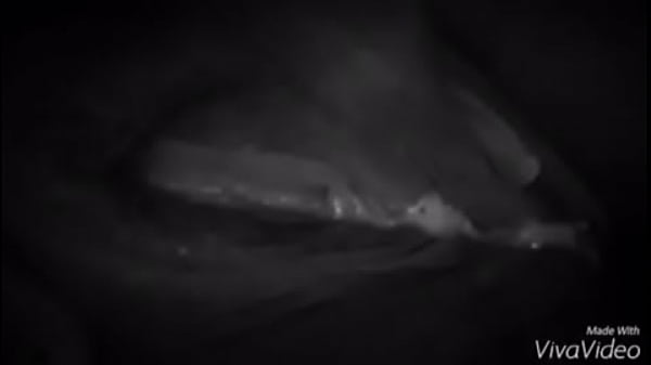 Un lindo detalle para nuestros seguidores 