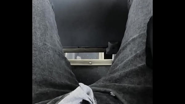 corriendome una paja en la micro, por las calles de santiago 