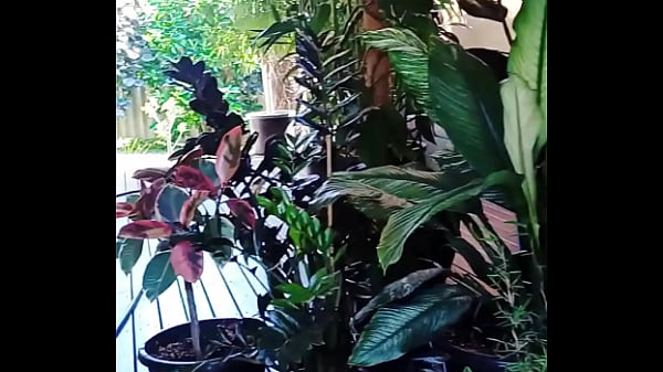 Horny mature gapes while she gardens 