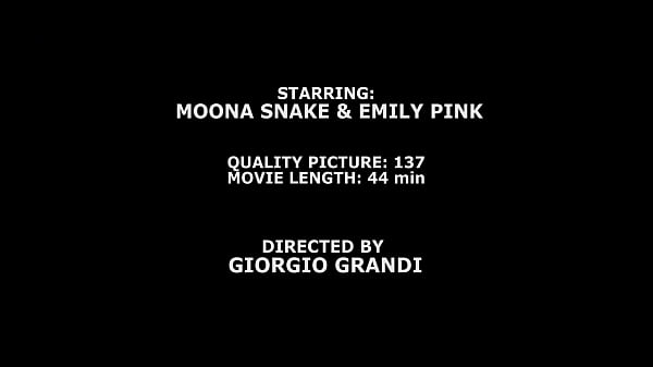 Play MP4 - Moona Snake & Emily Pink&comma; BWC&comma; ATOM&comma; Balls Deep Anal&comma; DAP&comma; No Pussy&comma; Creampiee to Swallow&comma; Swallow GIO1861