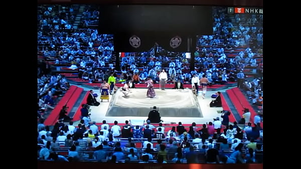 白鵬の八百長相撲　800万円 