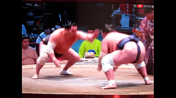 白鵬の八百長相撲　800万円 