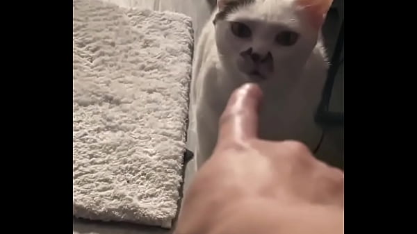 Yeah guess who knocked down one of my lights